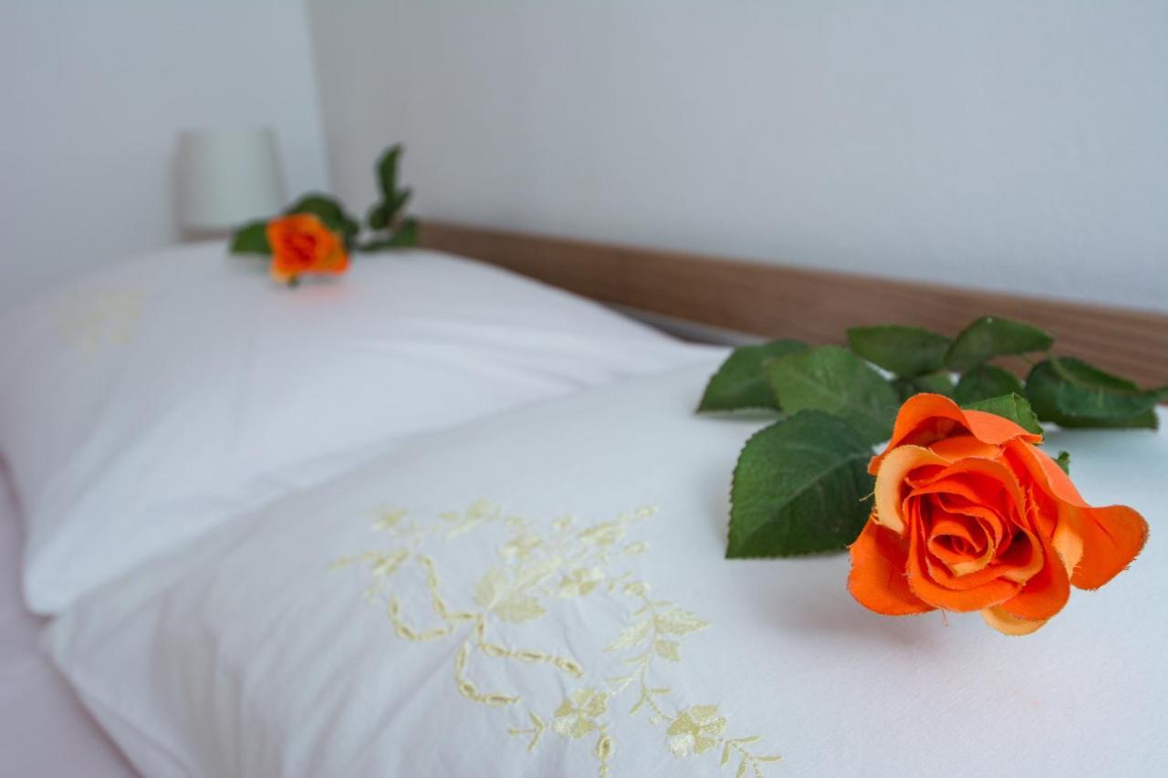 Apartments City View تروغير المظهر الخارجي الصورة